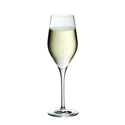 Copo de Champanhe 26cl DIVINE